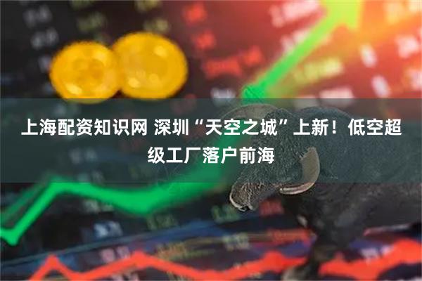 上海配资知识网 深圳“天空之城”上新!低空超级工厂落户前海